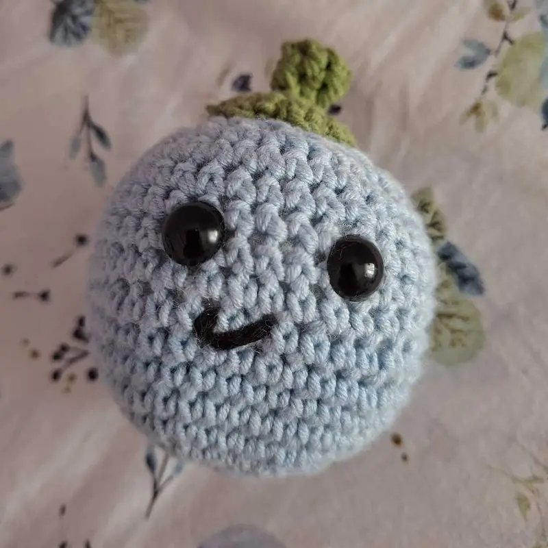 Yaban mersini yabani – Amigurumi bebek ve karakter modeli, @e.333