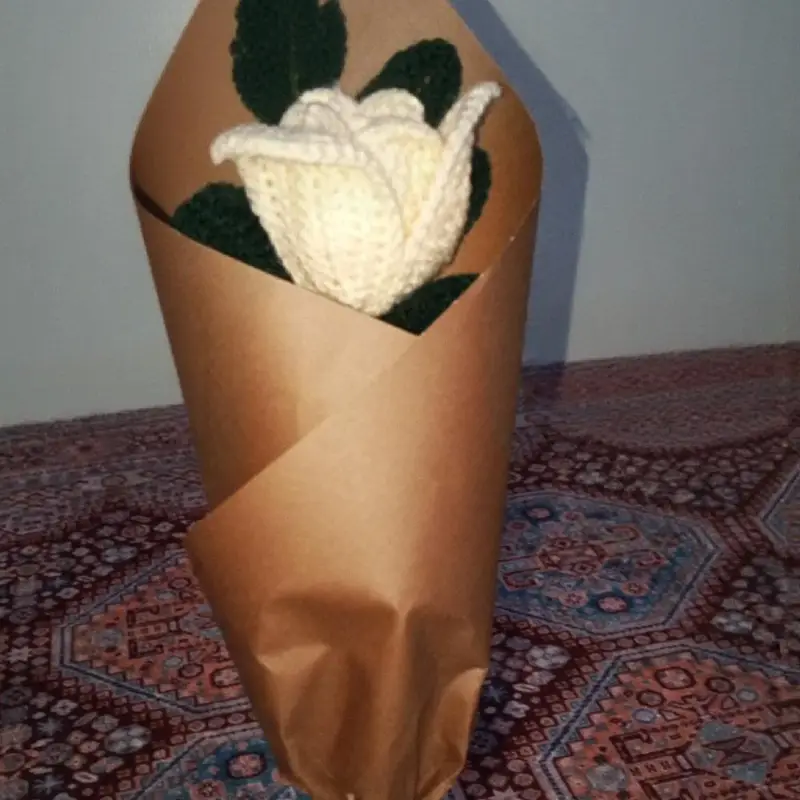 Hediyelik – Örgü ev dekoru ve çiçek modeli, @ays_gl
